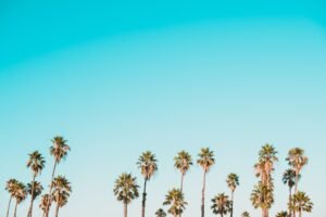 Photo Investmentfonds