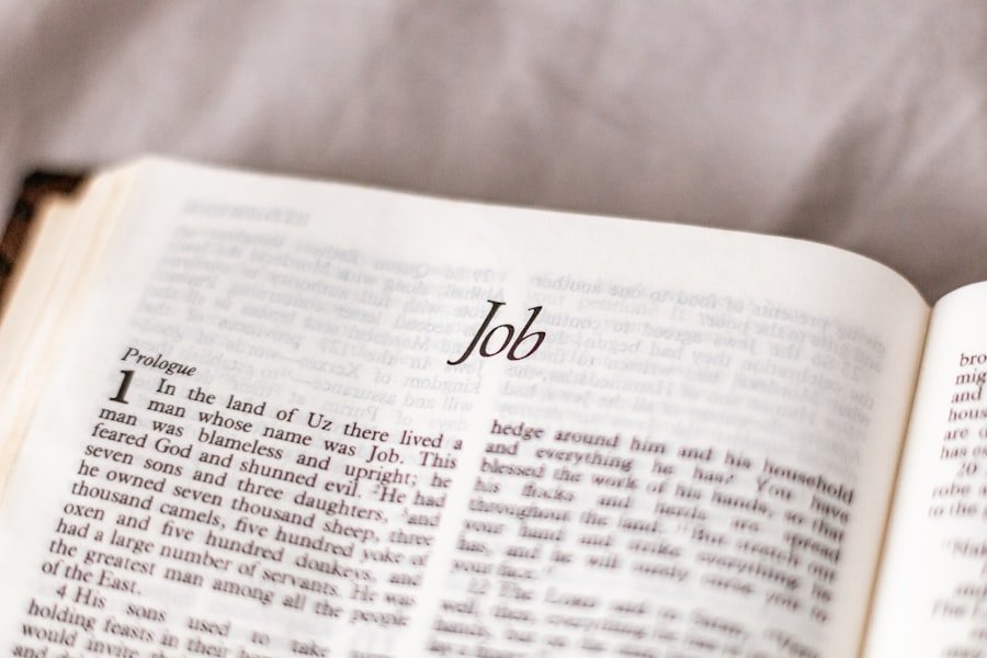 Photo Jobs without a degree